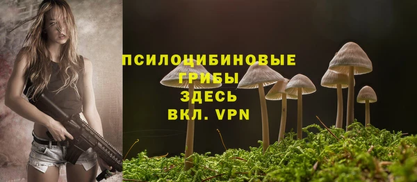 наркотики Богданович